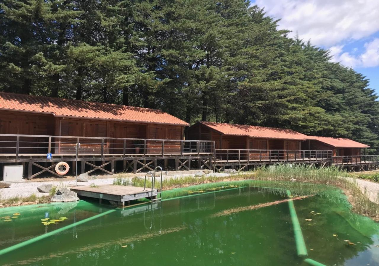 Parque Biologico De Vinhais Esterno foto