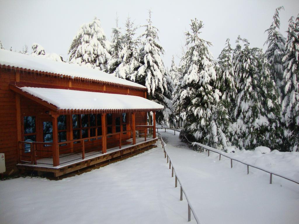 Parque Biologico De Vinhais Esterno foto