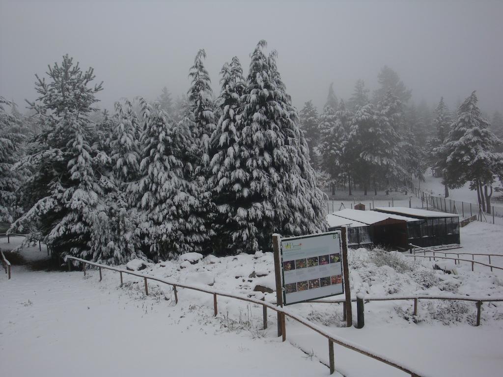 Parque Biologico De Vinhais Esterno foto